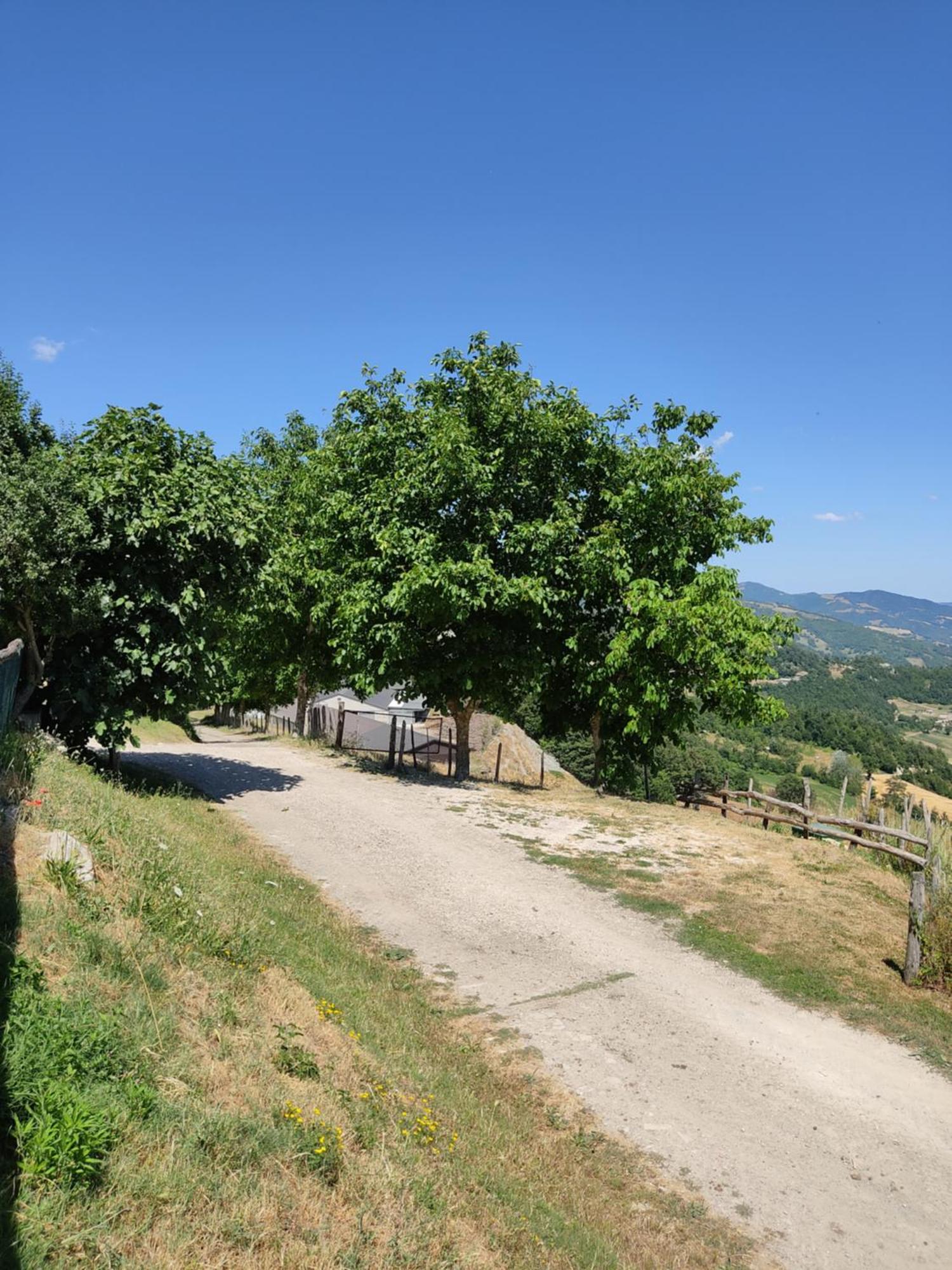 Agriturismo Al Monte San Piero in Bagno Eksteriør billede